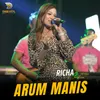 About Arum Manis Song