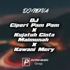 About Dj Ciper Pam Pam / Ku Jatuh Cinta Maimunah / Kawani Mery Song