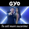 About Tu esti mare sucarime Song