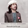 About Pashto TIKTOK sandara Song