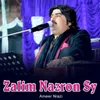 About Zalim Nazron Sy Song