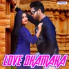 About Love Dhamaka Song