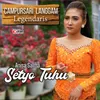 About Setyo Tuhu Song