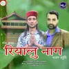 About Om Annant Riyalu Naag Bhajan Stuti Song