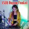 About Aseq Dugem Funkot Song