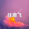 About 往南飞 Song