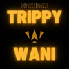 About Trippy Wani Song