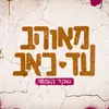 About מאוהב עד כאב Song