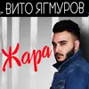 About Жара Song