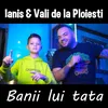 About Banii lui tata Song