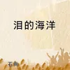 About 泪的海洋 Song