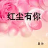 About 红尘有你 Song