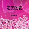 About 逆天的爱 Song