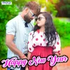 About Happy New Year Song