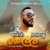 About Pachcha Gahapu Kella Song