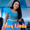 About Aseq Linda Song