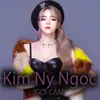 Cơm Áo Gạo Tiền Remix