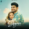 About Shyari Song