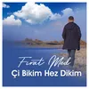 Çi Bikim Hez Dikim