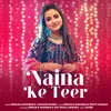 About Naina Ke Teer Song