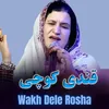 About Wakh Dele Rosha Song