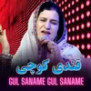 About Gul Saname Gul Saname Song