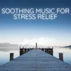 Soothing Sounds for Sleep and Relaxation
