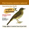 Grive musicienne-Turdus philomelos (chant 5) Protéger et diffuser l'oeuvre de Jean roché