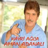 About Aman Adanalı Song