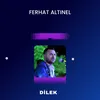 About Dilek Song