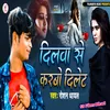 About Dilwa Se Karbo Delete Song