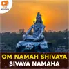 Om Namah Shivaya Sivaya Namaha