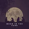 Moon In The Park Instrumental