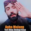 About Tere Bina Zindagi Keya Song