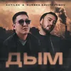 About Дым Song