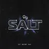 About SALT Song