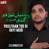 About Pasliyaan Tod Di Gayi Meri Song