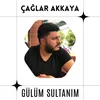 About Gülüm Sultanım Song