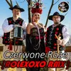 About Czerwone róże Rolexoxo Rmx Song