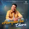 About HARYANE KA CHORA Song