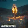 About Immortel Song