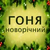 About Новорічний Song