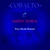 Shine Remix