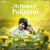 About Mellamayi Pokalam Song