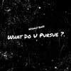 About What Do U Pursue Song