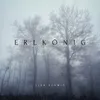 About Erlkönig Song