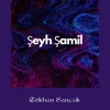 Şeyh Şamil