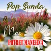 About Potret Manehna Song
