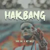 About Hakbang Song