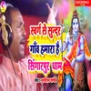 About Swarg Se Sundar ganw Hamara Hai Singarpur Dham Song